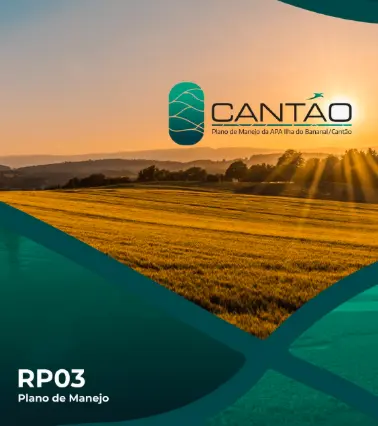 Elaboração ou revisão/formatação de relatórios técnicos
