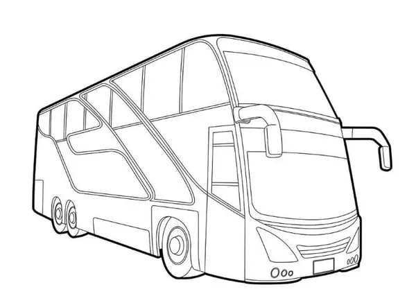 Motorista categoria D.