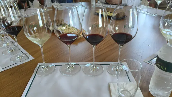 Aulas de vinhos, cachaça, whisky, drinks. Atendimento comercial para garçom, cumim.