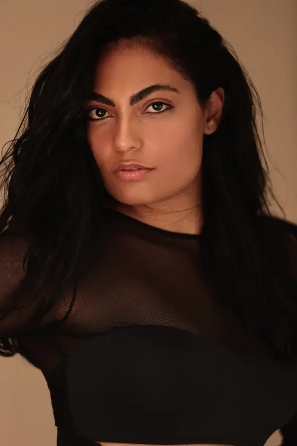 Modelo disponível
