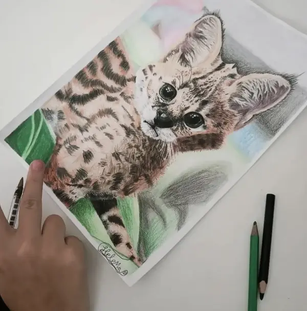 Desenhista Profissional e Designer Criativo